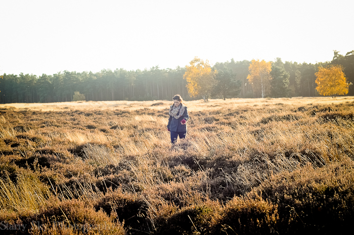 Nov 2012 ponies web-3