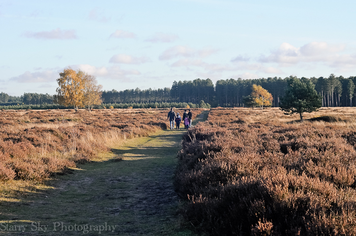 Nov 2012 ponies 2 web-2