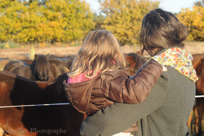 Nov 2012 ponies web-7