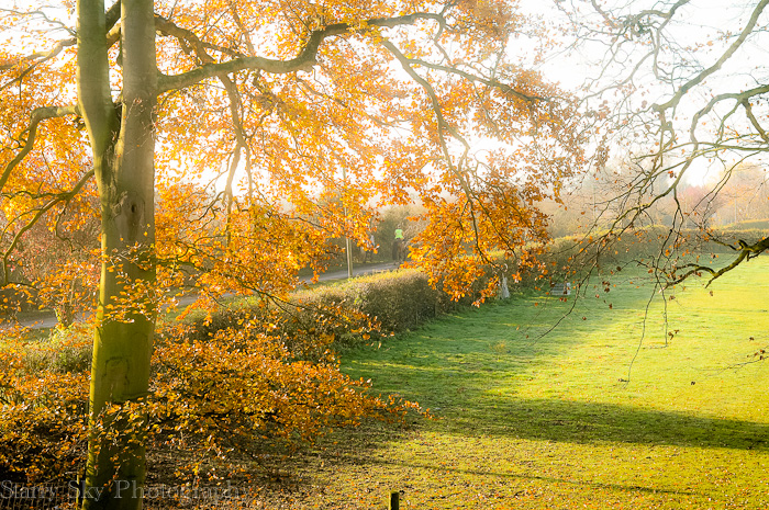 Nov 2012 horseback lane  web