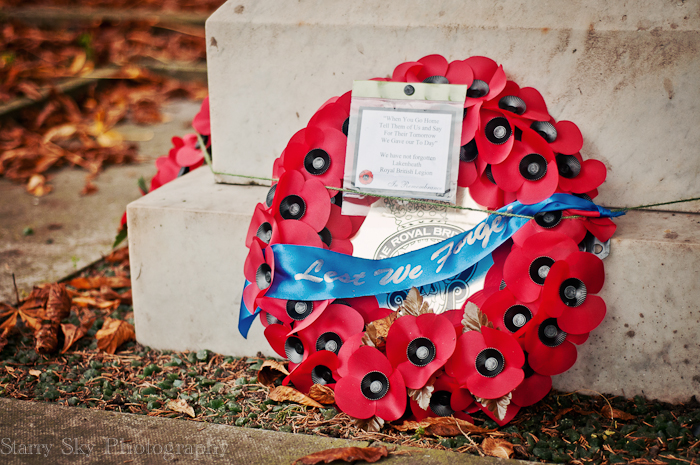 Nov 2012 poppy day  web-2