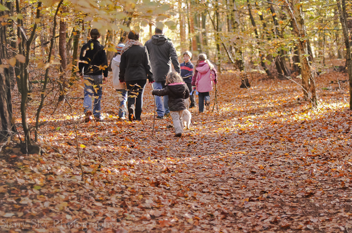 Nov 2012 brandon web