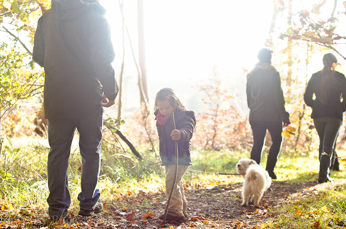 Nov 2012 brandon web-2