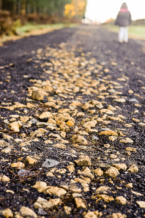 Nov 2012 brandon web-8