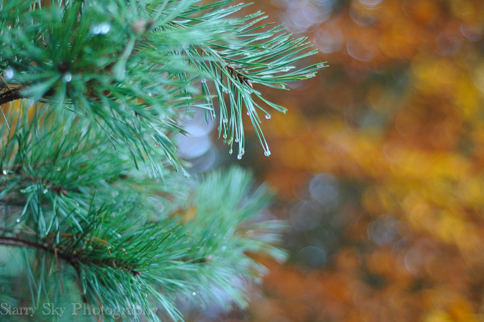 Nov 2012 brandon web-11