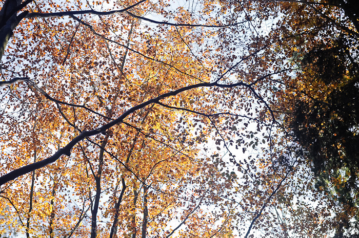 Nov 2012 playground 2 web-5