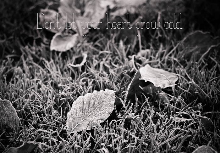 Nov 2012 frost quote web