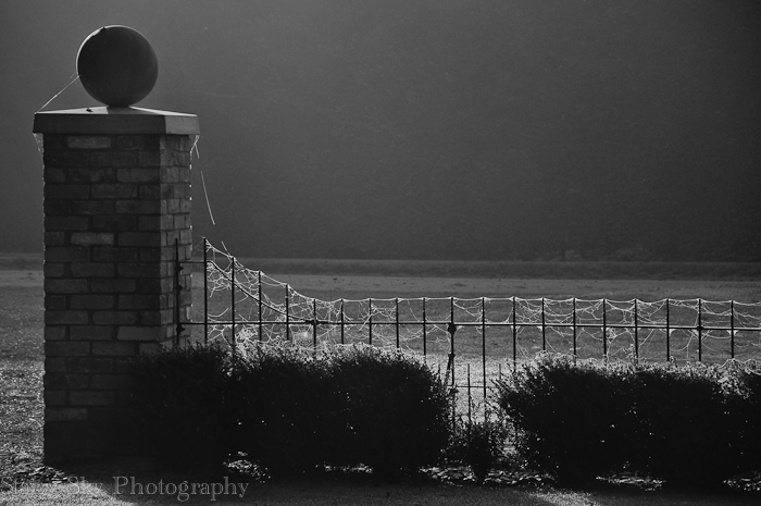 Oct 2012 gate webs web