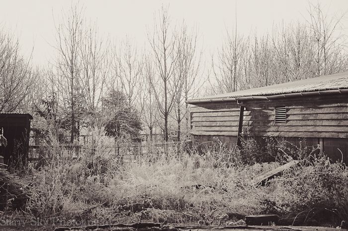 Dec 2012 frost farm web-8