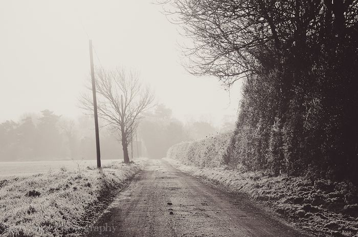 Dec 2012 frost farm web-5