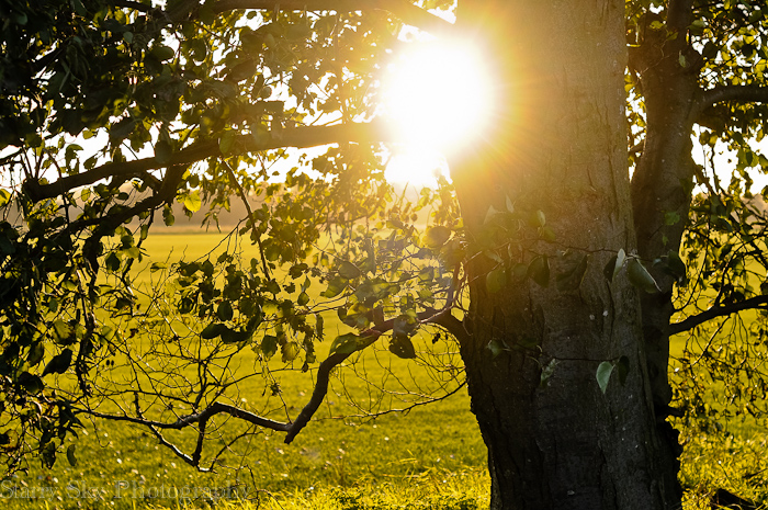 Nov 2012 farm walk web-5