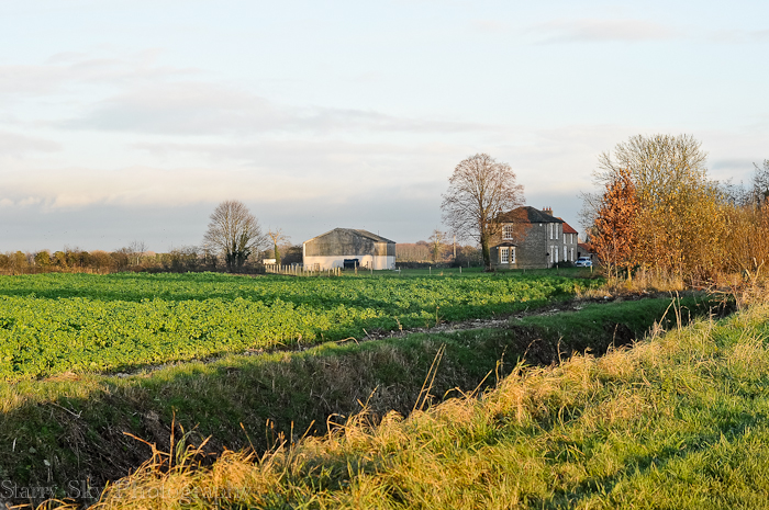 Nov 2012 farm walk web-6