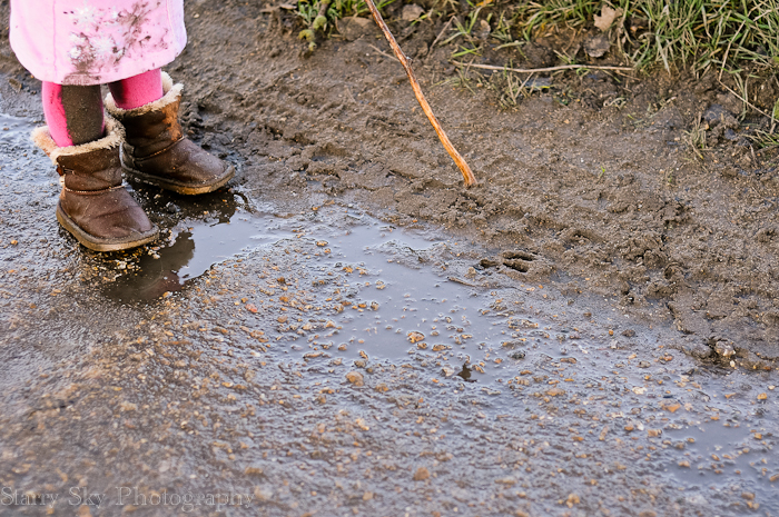 Nov 2012 farm walk web-3
