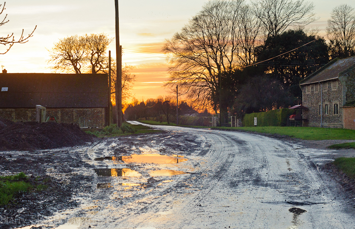 Nov 2012 farm walk web-10