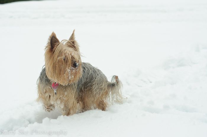 Jan 2013 snowday  web-13