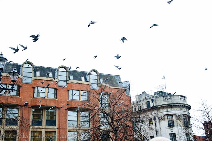 Dec 2012 manchester 2 web-5