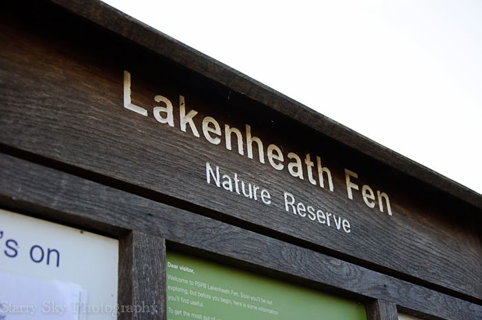 Dec 2012 fen 2 web-2