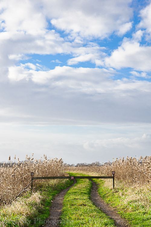 Dec 2012 fen 2 web-7