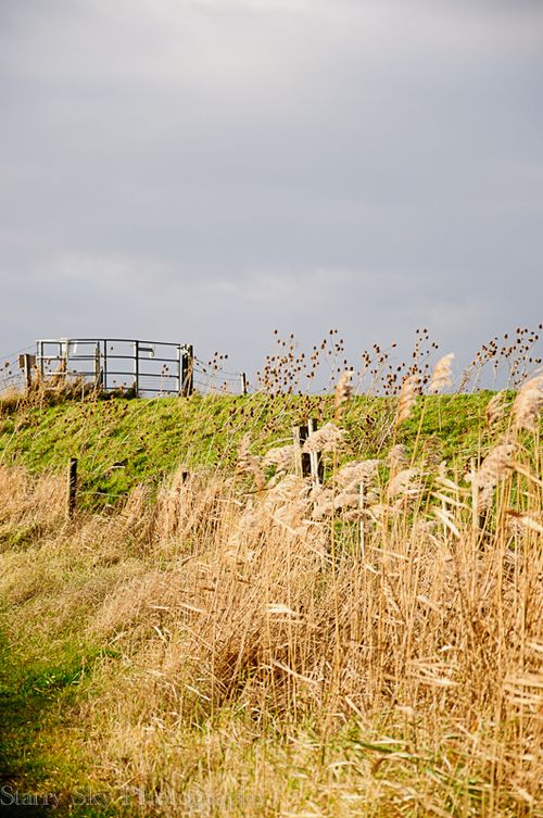 Dec 2012 fen 2 web-8