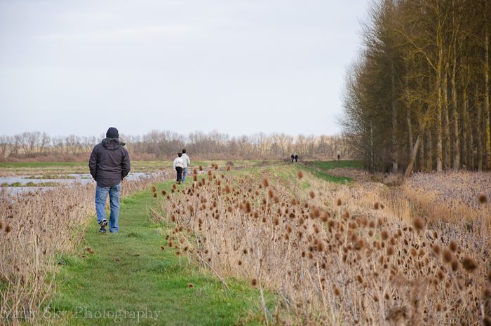 Dec 2012 fen 2 web-2