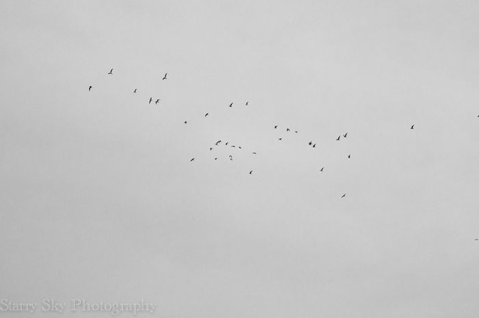 Jan 2012 marina bw web-5