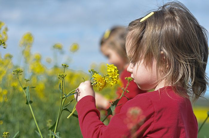 Dec 2012 review web-19