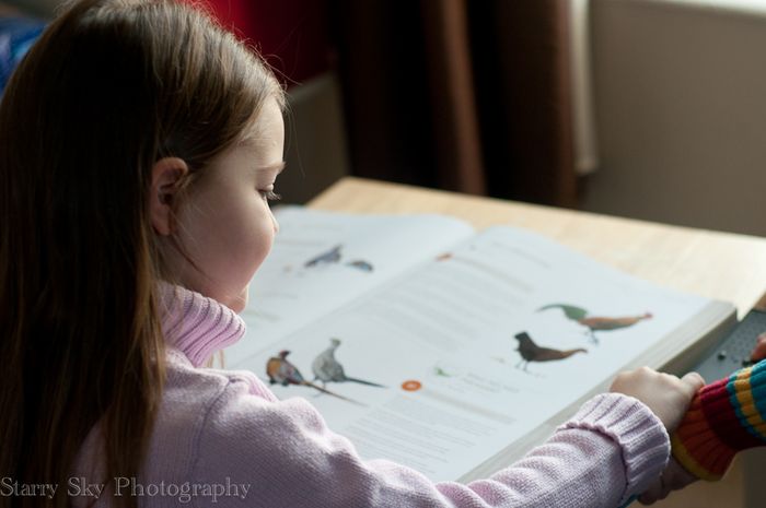 Feb 2013 bird song web_-2