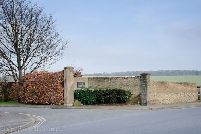 Feb 2013 newmarket racing web_