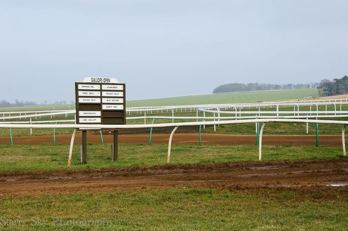 Feb 2013 newmarket racing web_-2