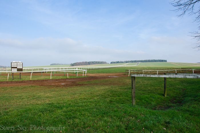 Feb 2013 newmarket racing web_-3