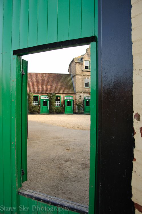 Feb 2013 newmarket racing web_-6