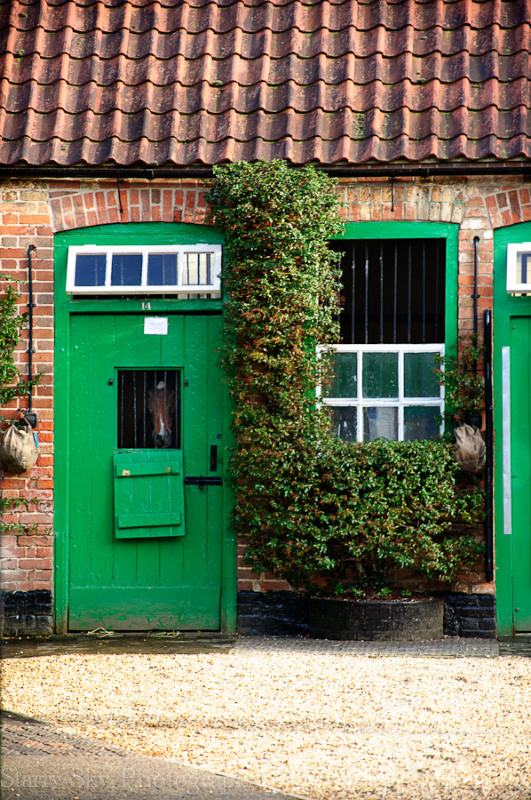 Feb 2013 newmarket racing web_-7