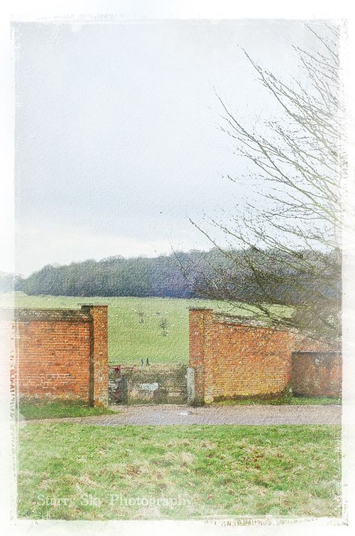 Feb 2013 ickworth wall web