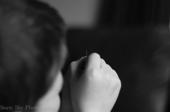 Feb 2013 button web-2