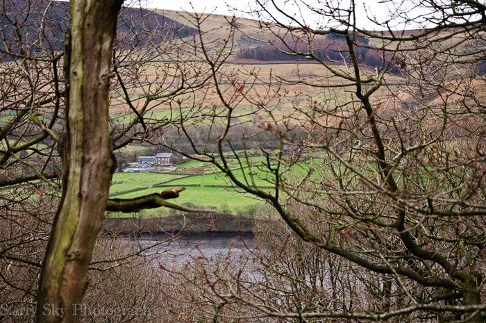 Jan 2013 tintwhistle web-2