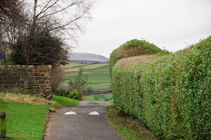 Jan 2013 tintwhistle web-5