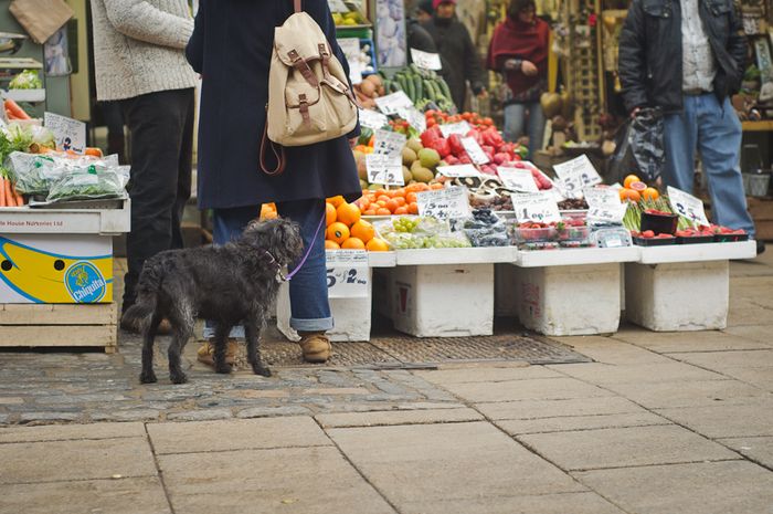 Mar 2013 norwich market web_-9