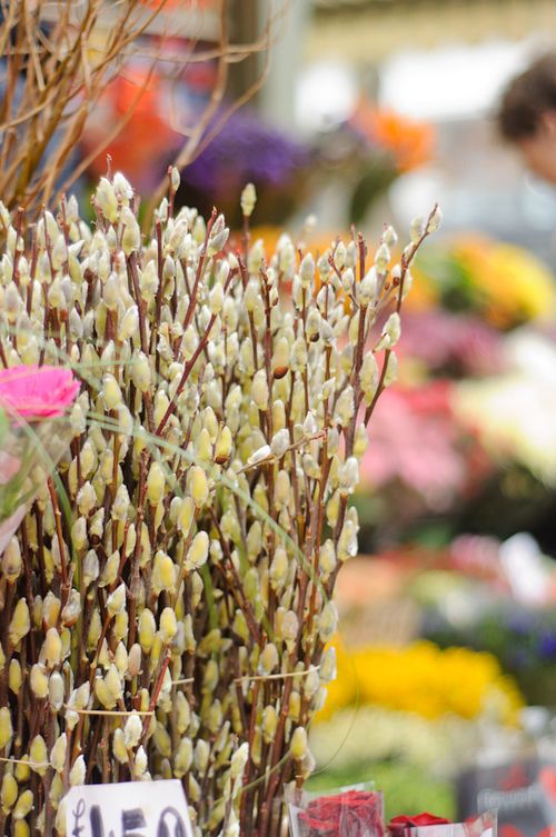 Mar 2013 norwich market web_-2