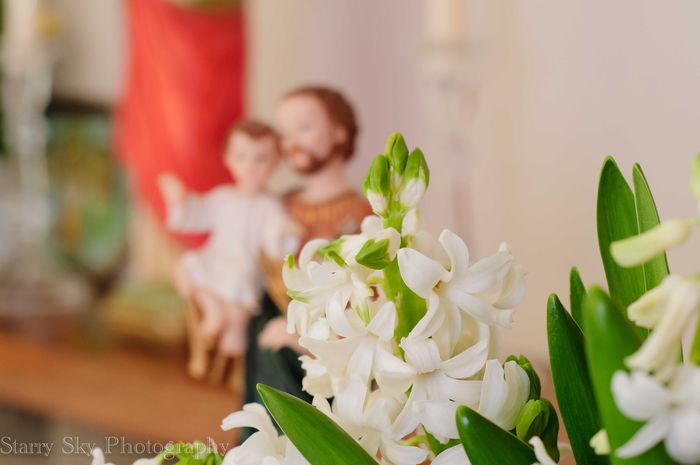 Mar 2013 St joseph web_-4