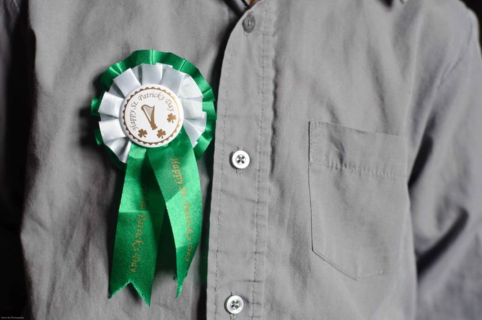 Mar 2013 st patrick  3web_