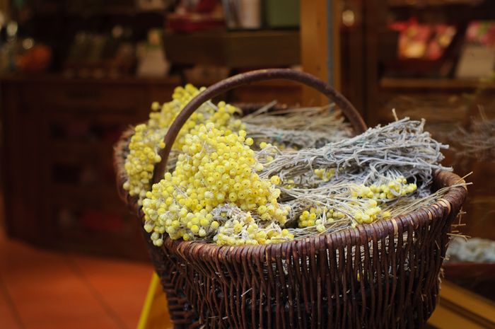 Mar 2013 flower basket web_