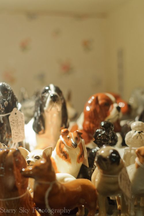 Jan 2013 risby web_-7