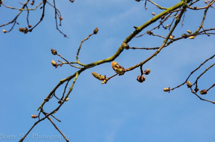 Apr 2013 branch web_