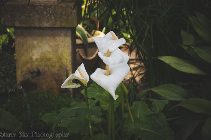 Apr 2013 orangery web-2