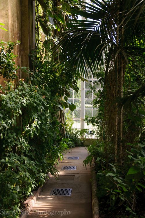 Apr 2013 orangery web-3