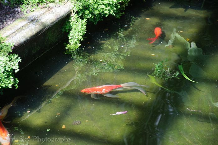 Apr 2013 orangery web-6