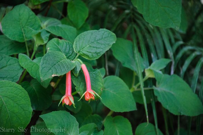 Apr 2013 orangery web-7