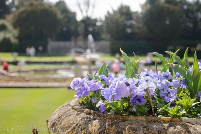 Apr 2013 orangery 2 web-2