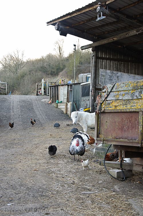 Apr 2013 b and b breakfast web-3