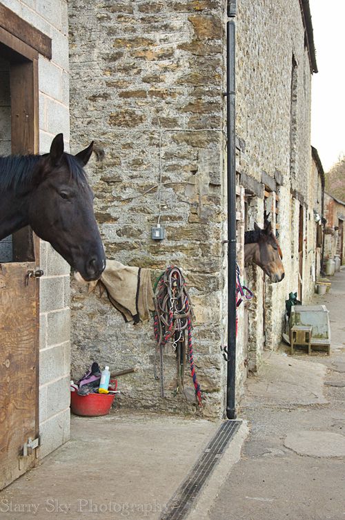 Apr 2013 b and b breakfast web-4